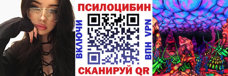 Псилоцибиновые грибы ЛСД Вятские Поляны
