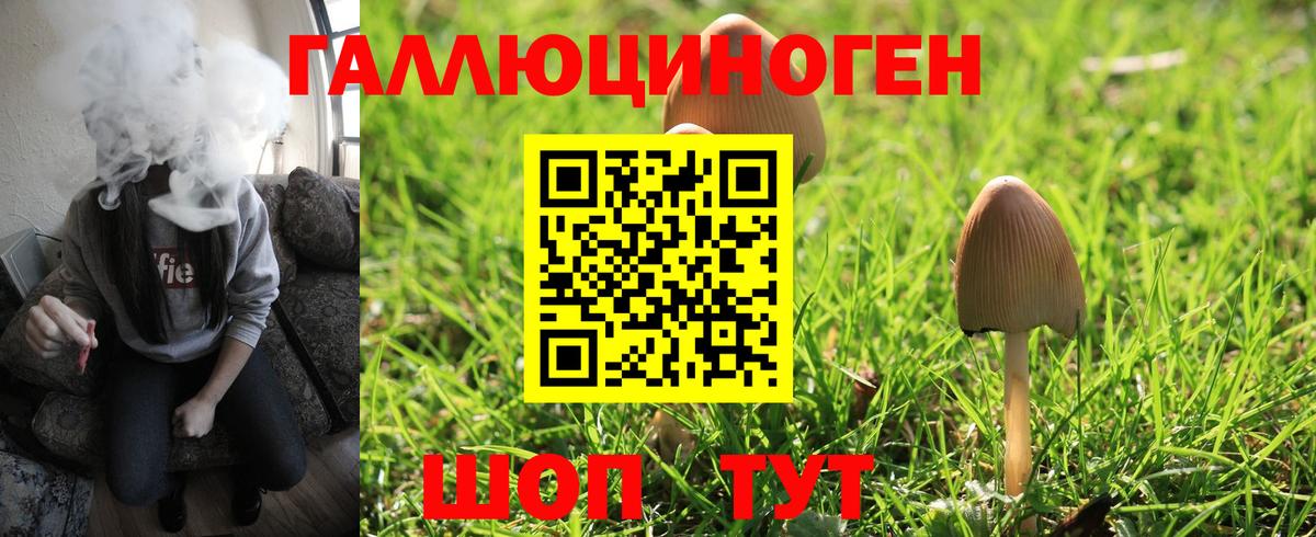 Псилоцибиновые грибы прущие грибы  Галлюциногенные грибы GOLDEN TEACHER  Вятские Поляны  Вход с VPN 